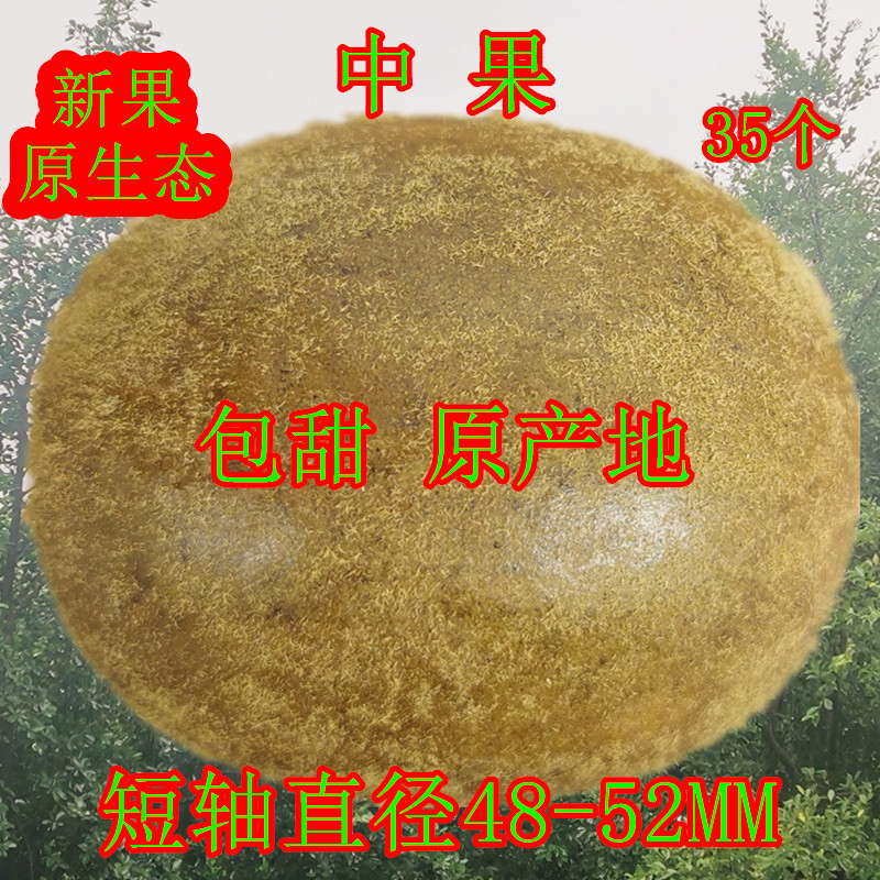 桂林永福特产罗汉果罗汉果茶中果35个短直径48-52mm 24省包邮
