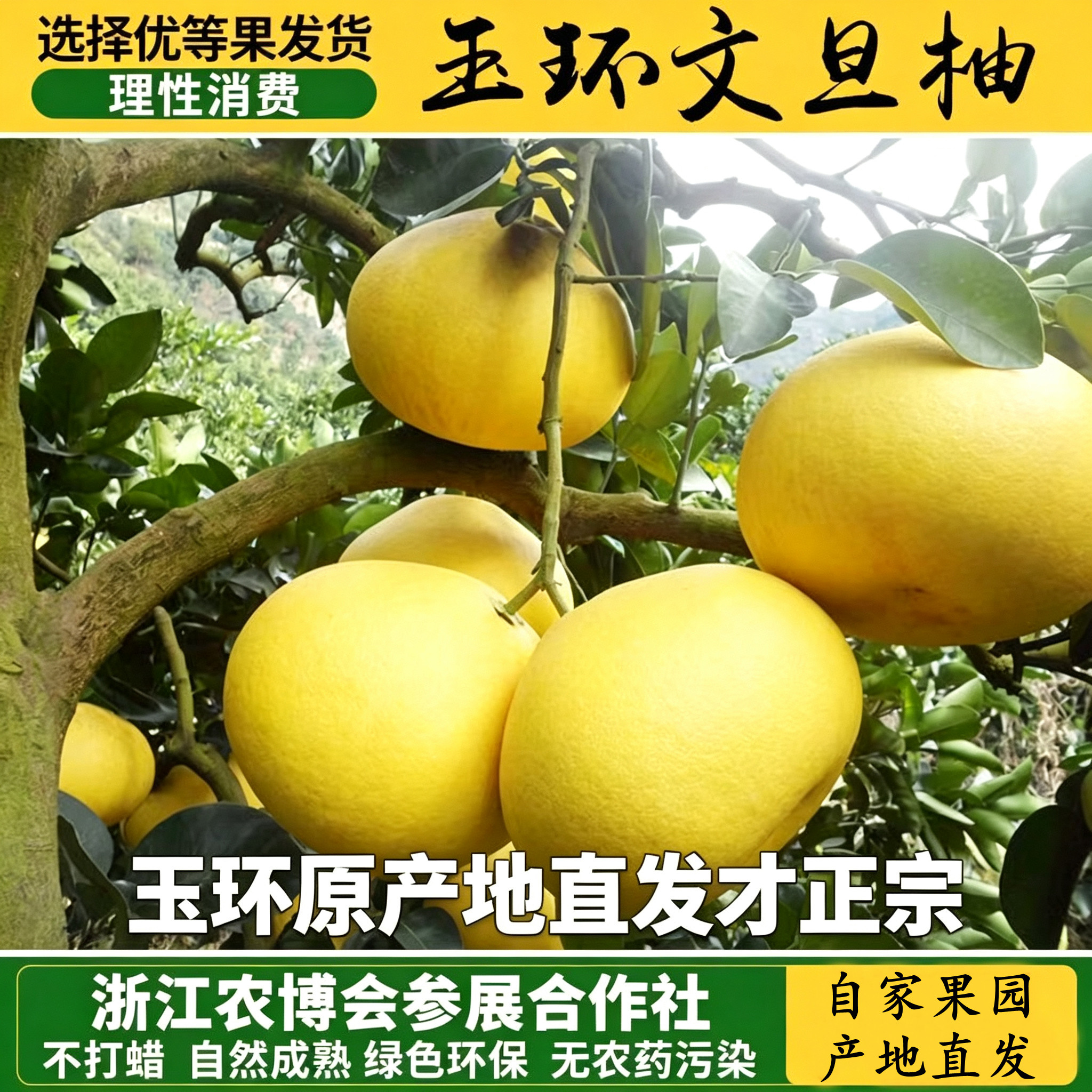 玉环文旦果农自产自销图片