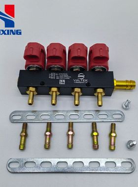 LPG/CNG汽车油改气改装红色VTK喷轨燃气汽车配件