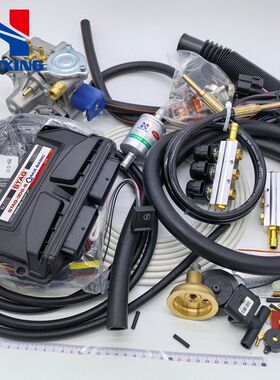 ic改气 配件汽车 AT13LPLP全套套件G分体MAX燃气G缸6b油as/CNG