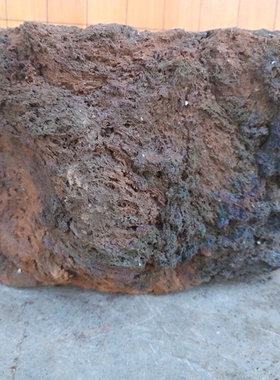 天然火山石花盆仙人球多肉老桩