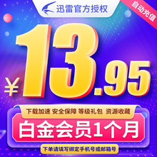 13.95元  迅雷白金会员  1个月