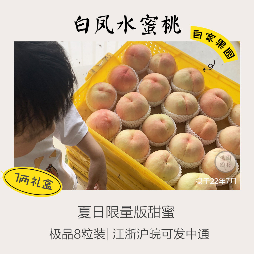 7两农家直采正宗阳湖水蜜桃软桃子爆甜多汁可撕皮礼盒装新鲜水果