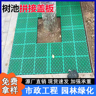 铺树坑专用树池格栅篦子塑料树篦子市政工程专用塑料拼接树篦子