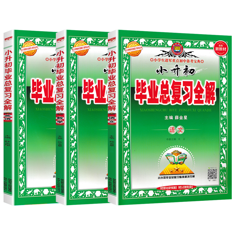 2024新版小升初毕业总复习
