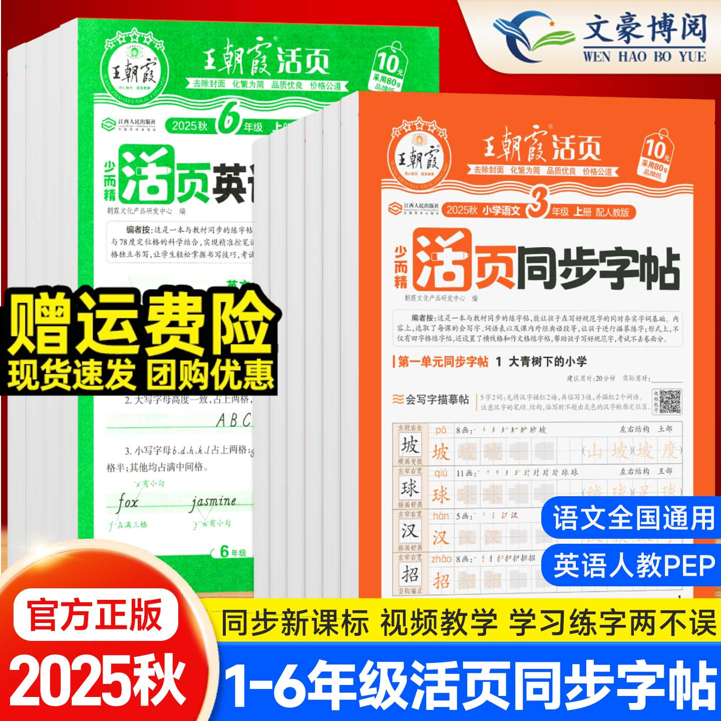 2025秋小学同步练字帖语文英语