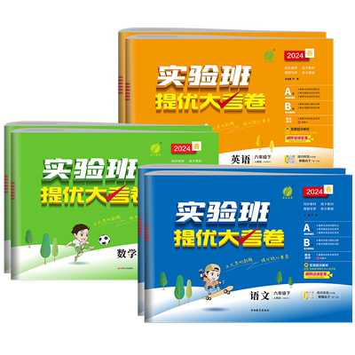 2025小学实验班提优大考卷六年级