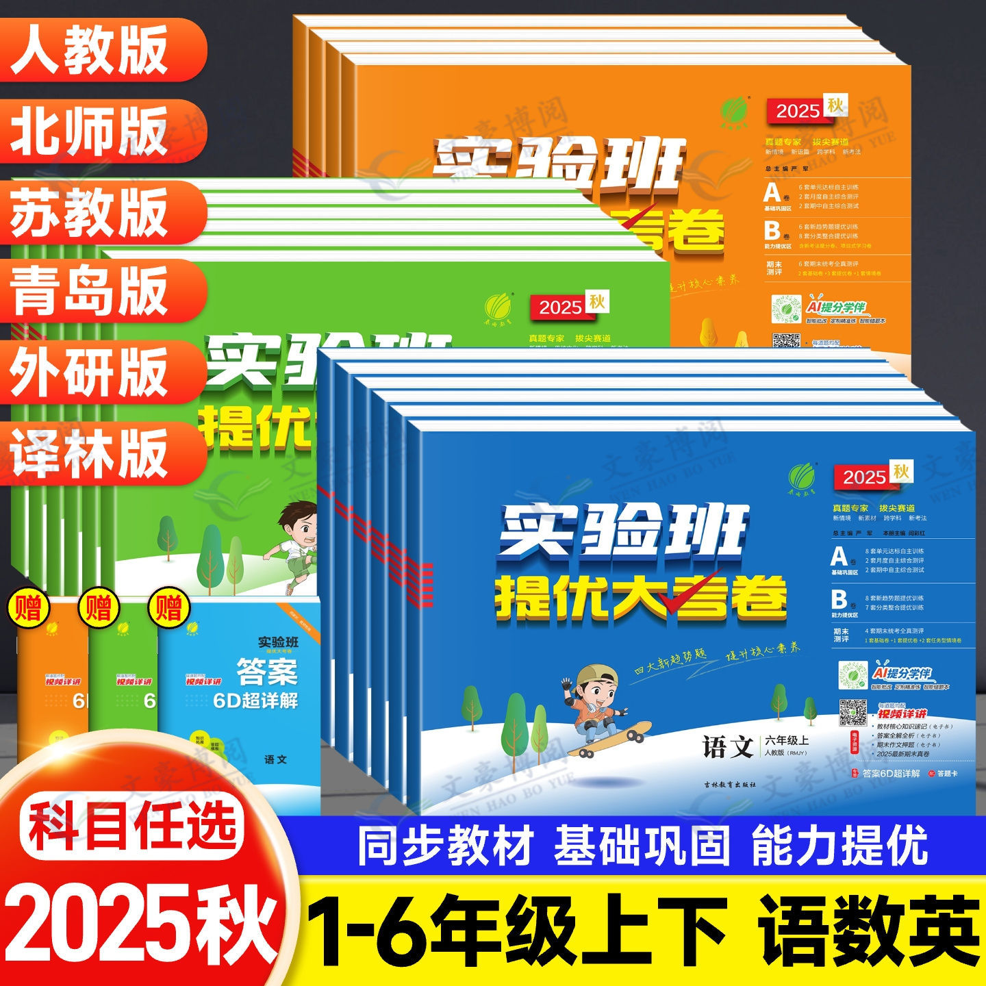 实验班提优大考卷小学