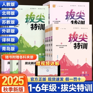 2025秋拔尖特训一二年级三年级四年级五年级六年级上册语文数学英语下册人教版 外研小学教材同步训练作业本一课一练通城学典 苏教版
