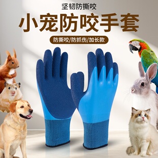 小宠防咬手套猫狗仓鼠防撕咬爬虫鹦鹉兔子金丝熊防动物抓挠伤防刺