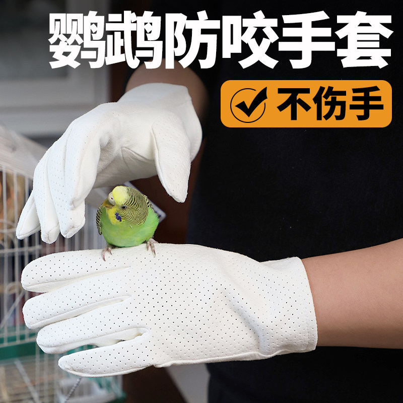 鹦鹉防咬手套训鸟养鸟宠物动物防抓加厚抓鹦鹉天然麂皮透气女男
