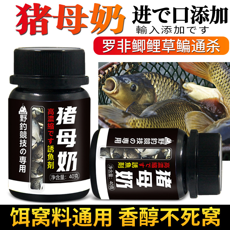 浓缩纯猪母奶粉诱食钓鱼小药鲫鲤青草罗非鲢鳙鱼饵窝料奶香开口剂