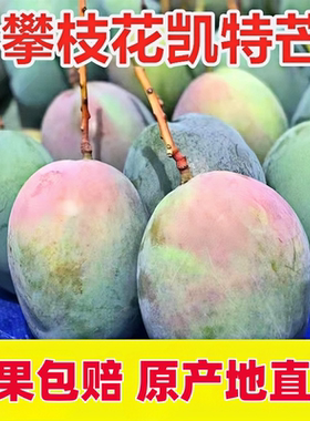四川攀枝花凯特芒9斤净重