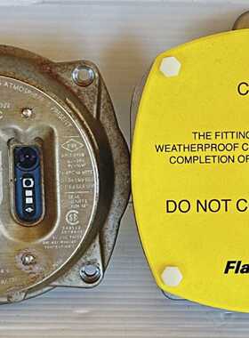 Tyco S300 FV311SC 20mm IR Flame Detector with PAL Camera 24V