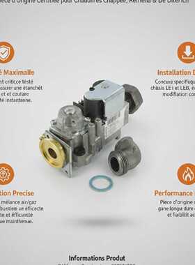 Ensemble Vanne Gaz Chappee remeha S17074500