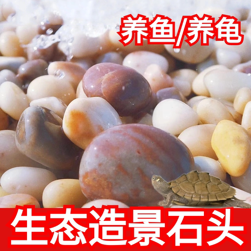 天然鹅卵石雨花石鱼缸龟缸造景