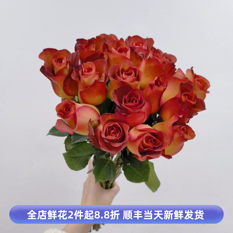 咖啡时间玫瑰花水养鲜切月季大朵复古情人节花束昆明基地直发同城