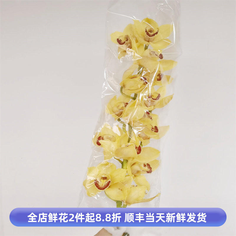 1蕙兰婚庆情人节花期长兰花