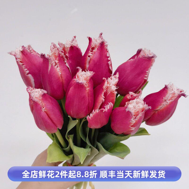 红色郁金香毛边单瓣鲜切花婚礼