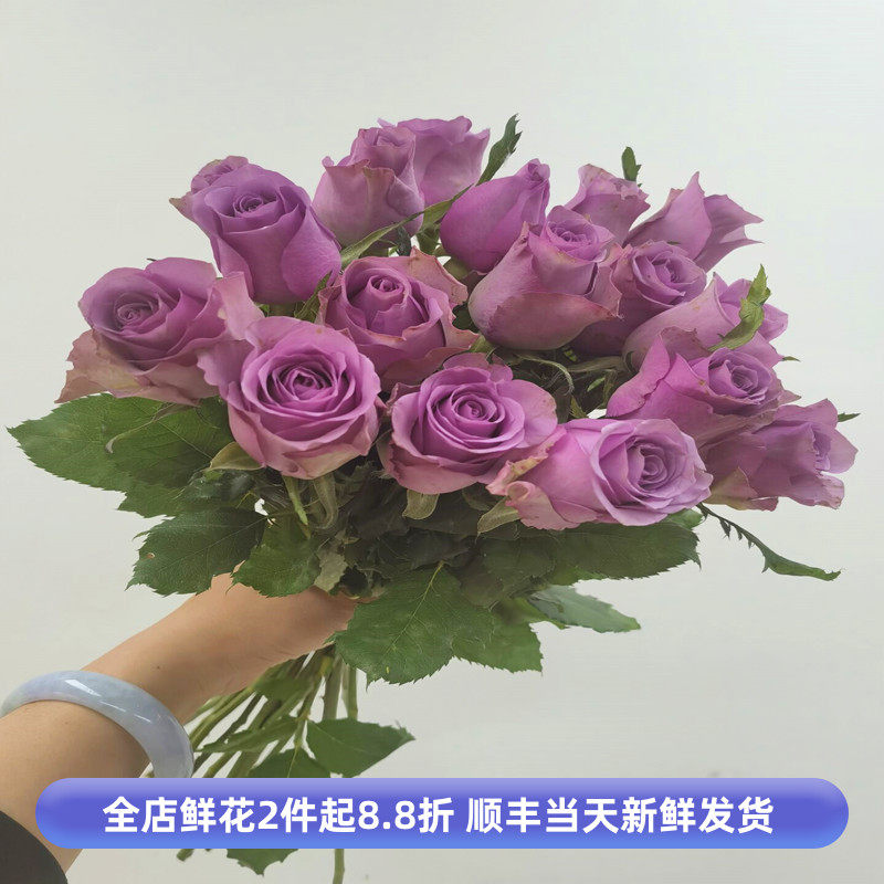 冷美人紫玫瑰花大头鲜切月季花室内家庭水养插花婚礼花艺同城速递