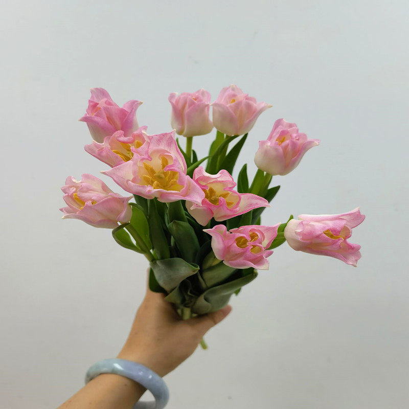 风铃郁金香鲜切花家庭水养插花