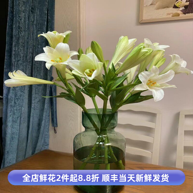 铁炮百合鲜切花水养家庭办公室