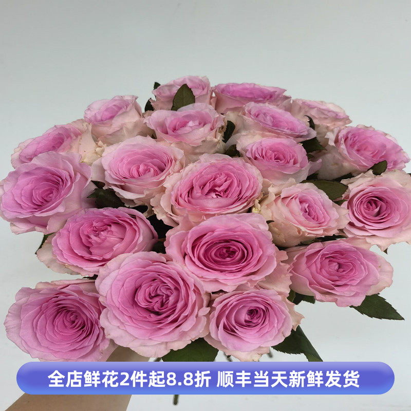 洛神玫瑰鲜花大朵鲜切月季花卉家用插水养情人节生日礼物同城速递