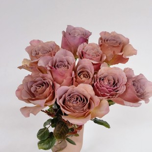 咖啡拿铁玫瑰花复古月季花水养鲜花家庭瓶插花情人节花束同城速递