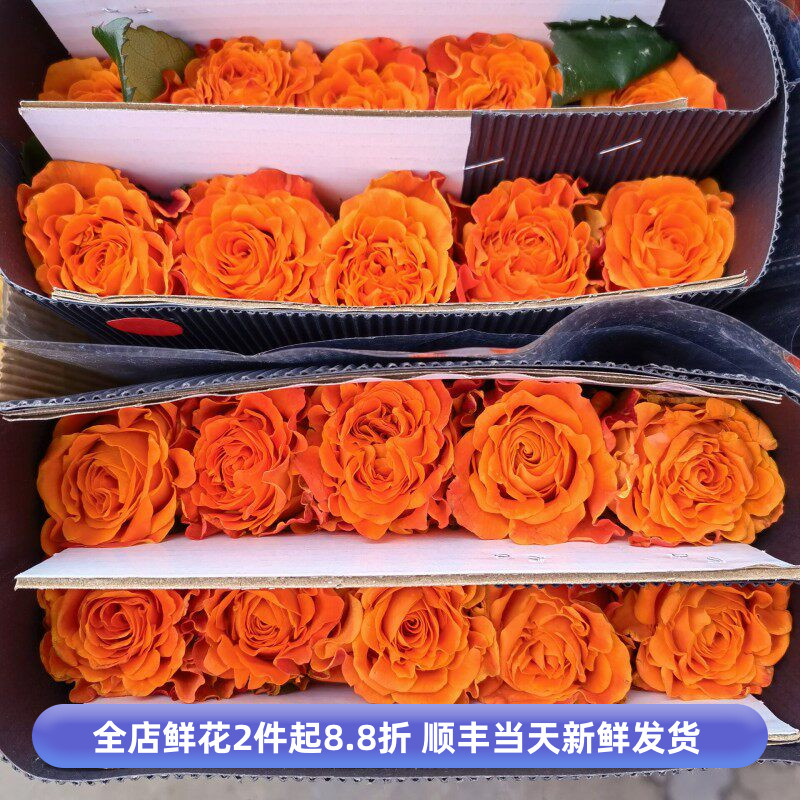巨蟹座玫瑰花橙色曲边大朵鲜切月季花水养新品鲜花情人节花束包邮