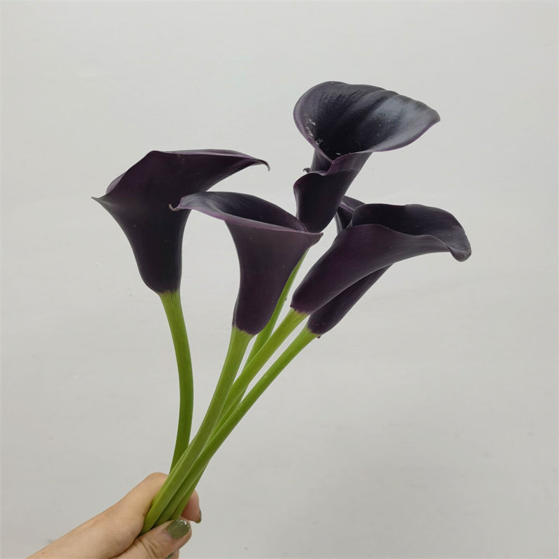 黑色海芋马蹄莲新娘手捧花
