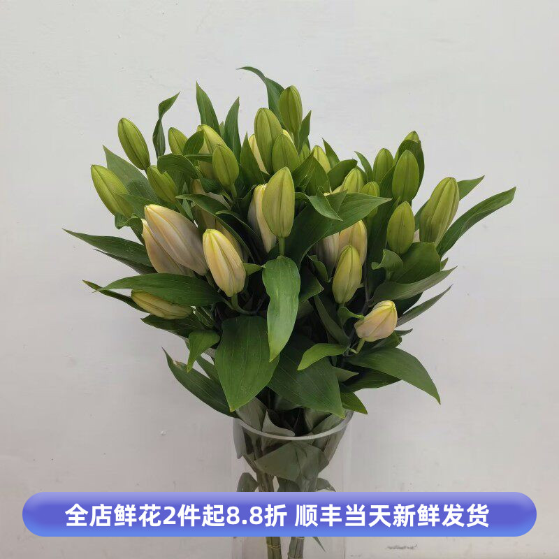 笑脸百合花鲜切水养礼佛用花室内