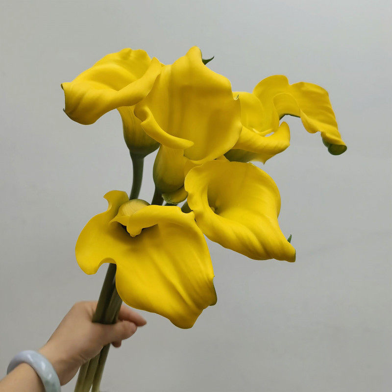 黄色马蹄莲海芋鲜切花婚礼手捧花生日礼物情人节鲜花速递北京同城