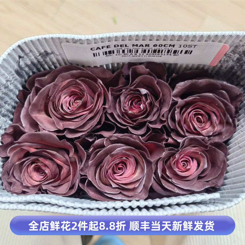 CAFE DEL MAR进口咖啡色玫瑰花大朵鲜切花月季花北京同城鲜花速递