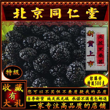 免洗黑桑葚干 特级野生 桑椹黄精熟地免洗大粒中药材泡酒茶同思堂