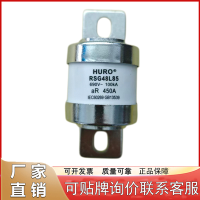 快速熔断器熔芯保险丝RSG48L85