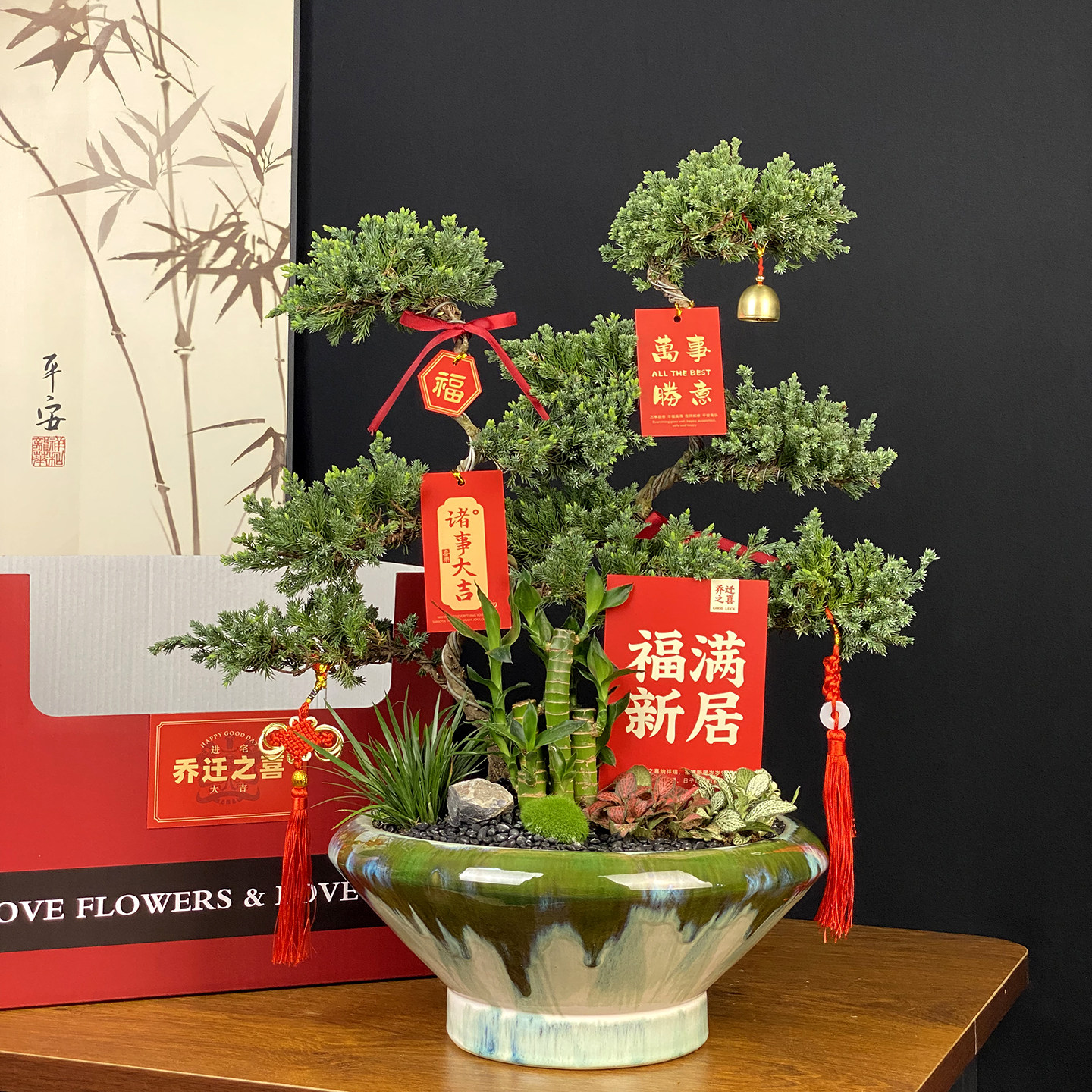 五层塔松盆栽开业绿植乔迁礼物迎客松大盆景办公室内客厅桌面植物