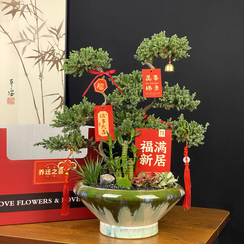 松鹤延年|竹报平安富贵|高端盆景