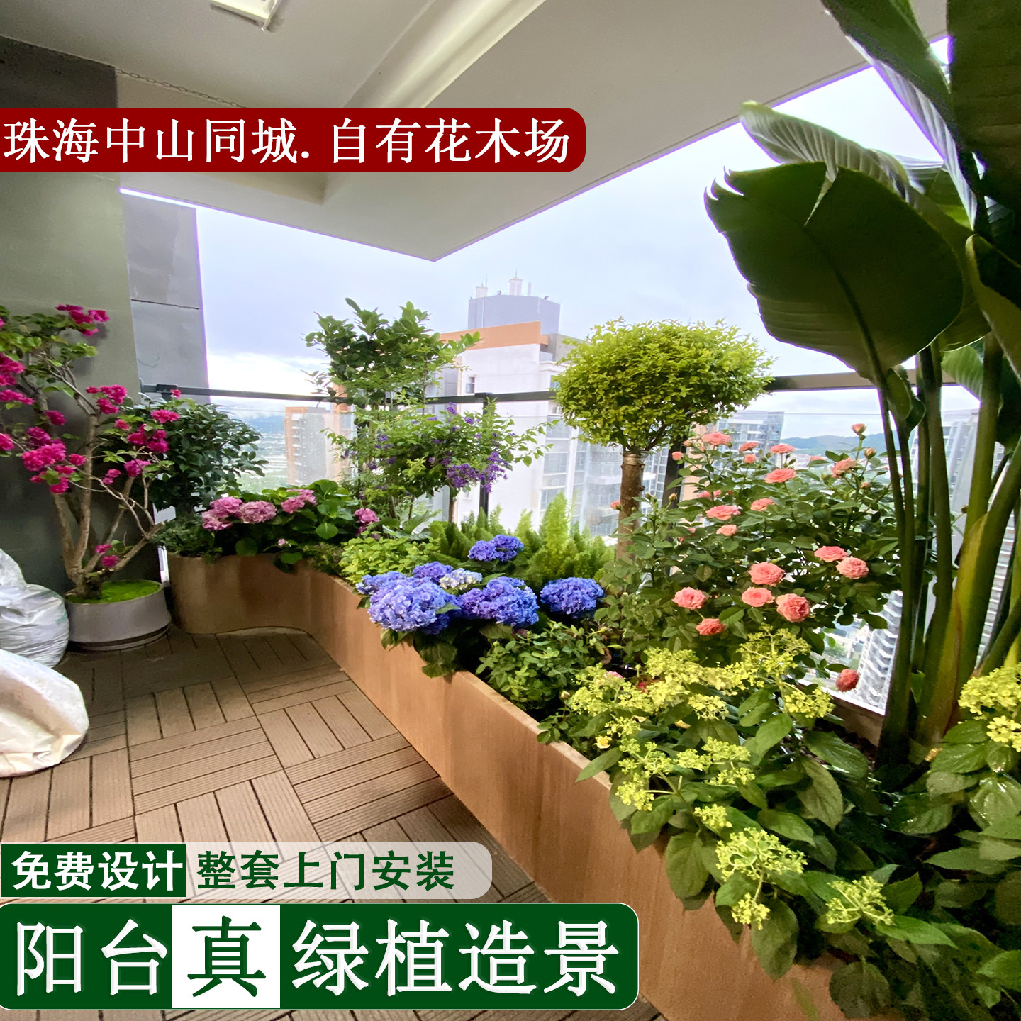 珠海中山同城布置阳台绿植造景花箱植物真花软装室内景观组合盆栽