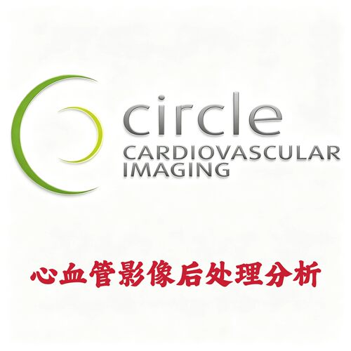 CVI42 Circle Cardiovascular Imaging 6.5.1 心血管影像后处理