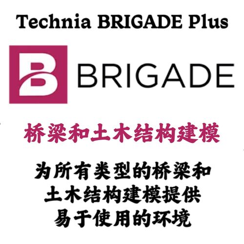Technia BRIGADE Plus 2025.2 桥梁和土木结构建模安装咨询指导