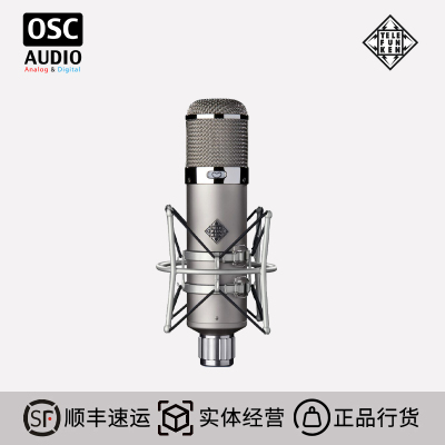 话筒大振膜德律风根电子管