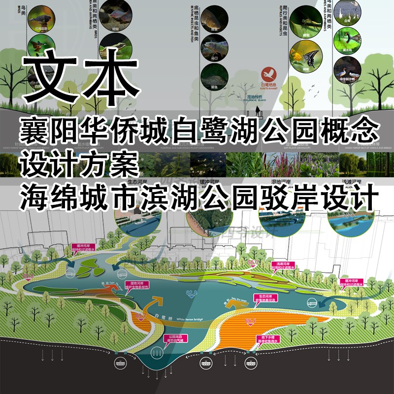 JG312-华侨城白鹭湖公园概念设计方案 海绵城市滨湖公园驳岸设计