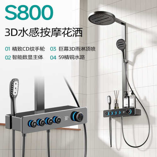 全铜主体水路四档德国大圆手顶喷