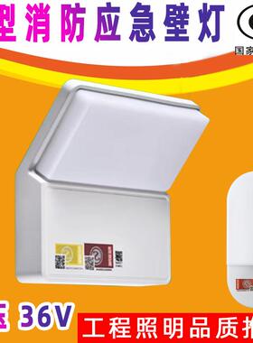 东君智能消防应急灯壁挂5W集中电源控制A型低压DC36V照明灯DJ-03G
