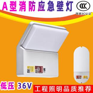 东君智能消防应急灯壁挂5W集中电源控制A型低压DC36V照明灯DJ-03G