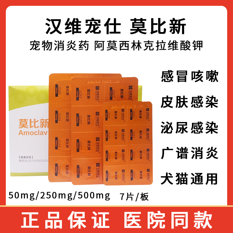 汉维宠仕犬猫消炎药阿莫西林