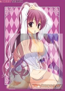 游戏王动漫妹套 DRACU-RIOT! 艾莉娜 稻从莉音 睡衣 卡套 牌套1C1