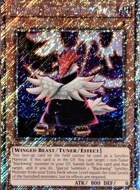 游戏王美英一刷PSCR黑羽－大旆之伐由RA03-EN224 AF2 BF