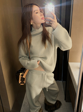 Partysu 韩国进口 官网直邮 2024冬  Langer polar 高领针织衫