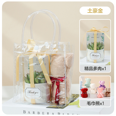 多肉伴手礼 多肉礼盒小盆栽绿植多肉植物伴手礼 5元以内伴手礼盒